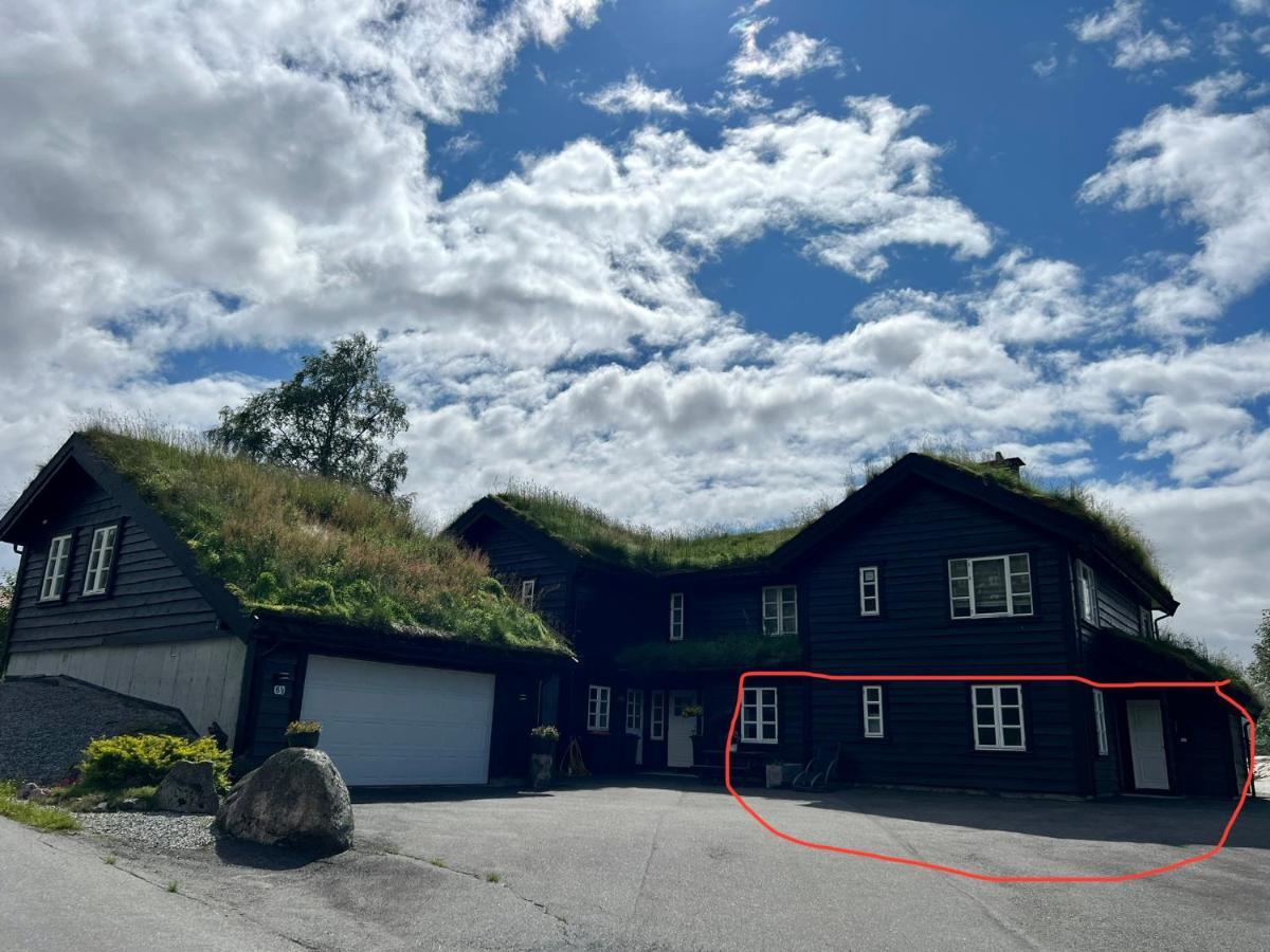 Flott Leilighet Pa Haugen I Sirdal Tjorhom Extérieur photo