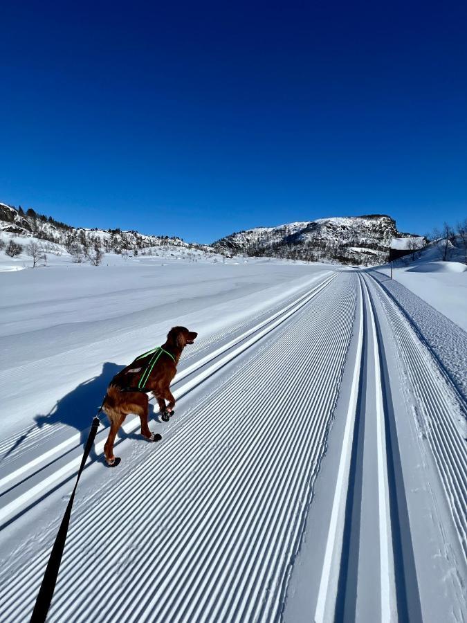 Flott Leilighet Pa Haugen I Sirdal Tjorhom Extérieur photo