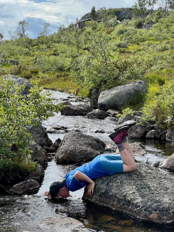 Flott Leilighet Pa Haugen I Sirdal Tjorhom Extérieur photo