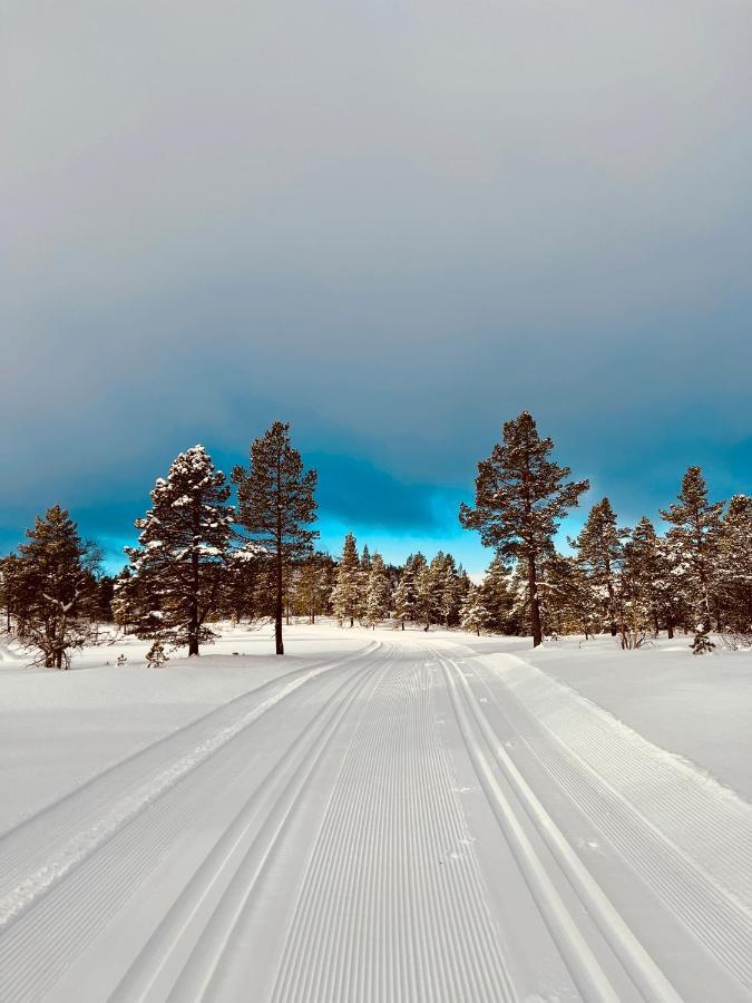Flott Leilighet Pa Haugen I Sirdal Tjorhom Extérieur photo