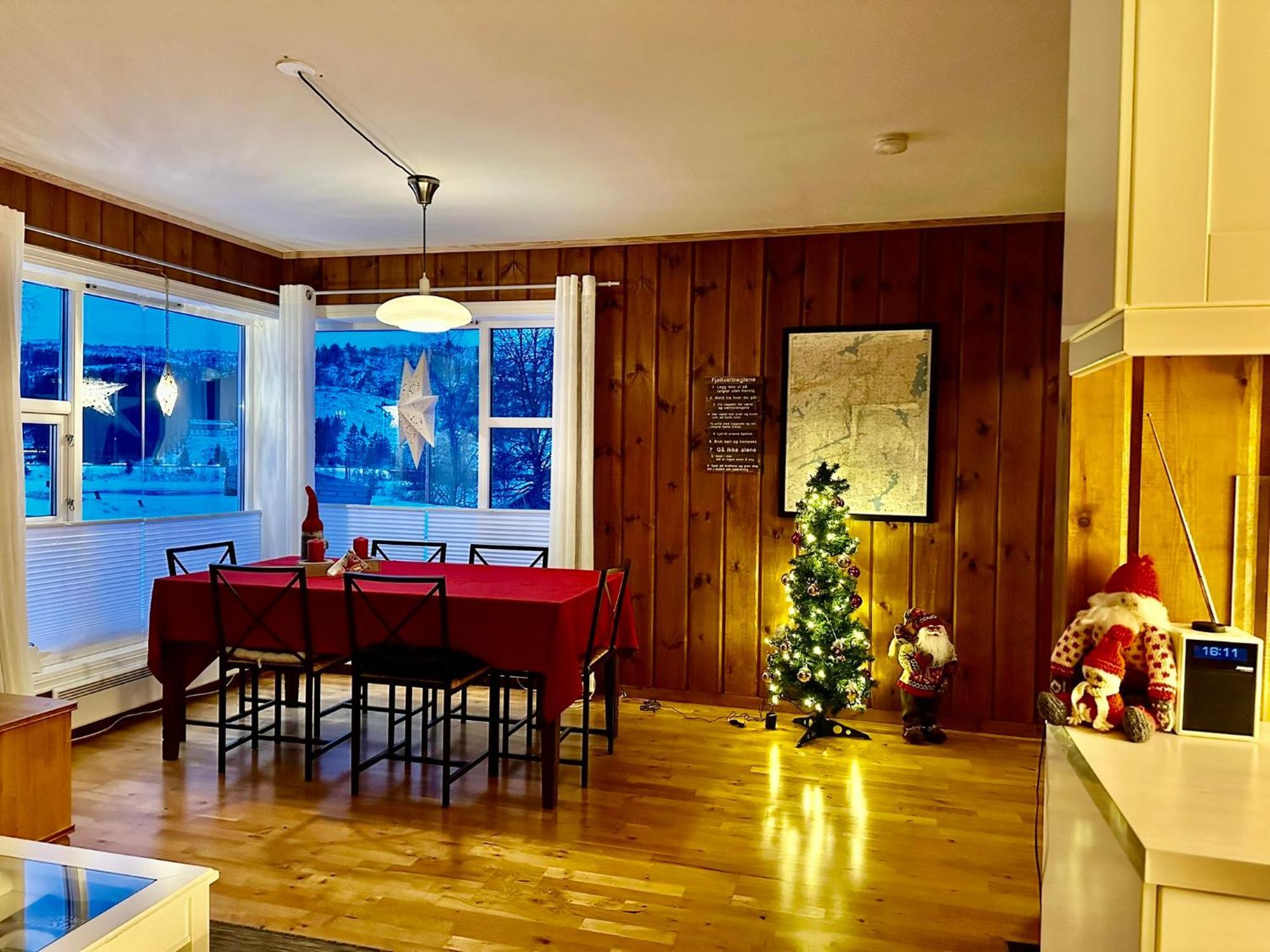Flott Leilighet Pa Haugen I Sirdal Tjorhom Extérieur photo